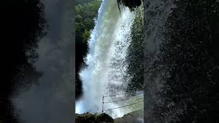 feel the romantic music with the beautiful waterfall waterfall nature travel india