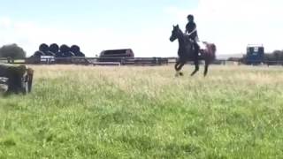4yo Esteban gelding xc