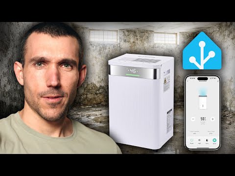 Jetzt wird smart entfeuchtet! BlitzHome BG-BD068K Luftentfeuchter im Test inkl. Home Assistant