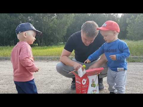 Деревянная каталка Viga Toy. Распаковка и обзор