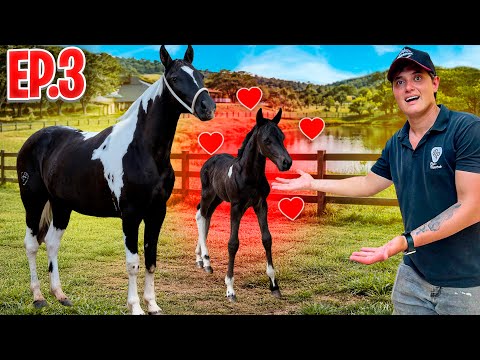 ÉGUA PARINDO ( Peão de Sorte Ep.3 )