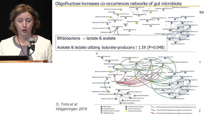 ILSI NA: Dietary Fibers, Prebiotics (Chicory Root ...