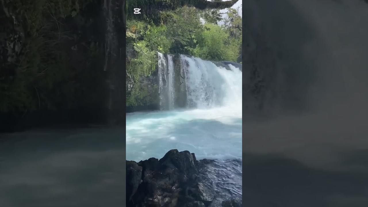 Oază ascunsă: izvor rece și pădure deasă 🌲💙 