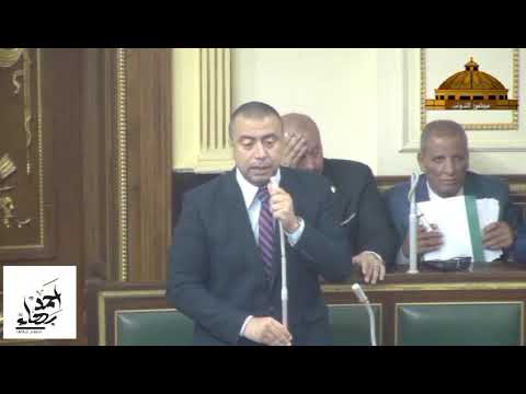 أحمد بهاء شلبي قانون تنظيم بعض الأحكام المتعلقة بملكية الدولة يعظم الاستفادة من الشركات المملوكة لها