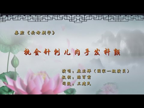 秦腔《岳母刺字》选段：执金针刺儿肉手发抖颤/康亚婵演唱《陈百甫秦腔板胡包腔与伴奏》