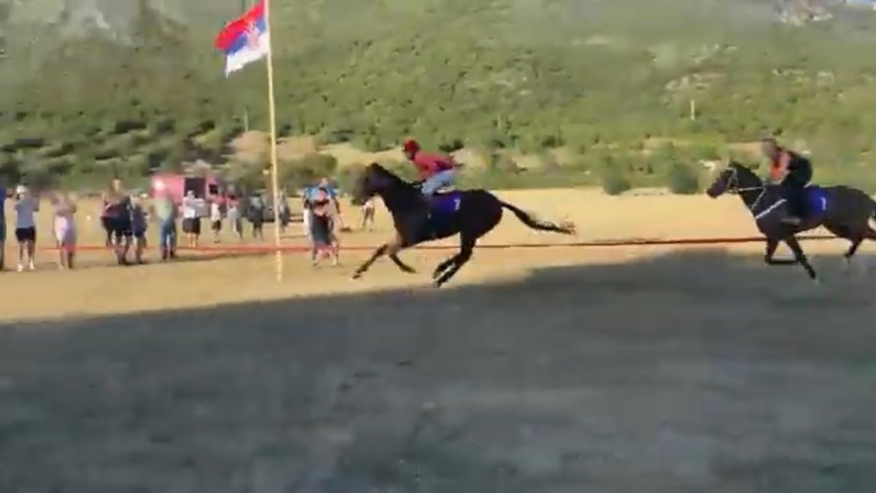 Bileća -2400m 3g i st- 3.8.2025 - Valdenzar 