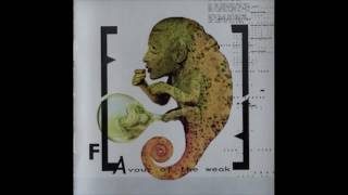 Front Line Assembly - Corruption