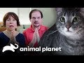 Por favor, queremos meditar em paz! | Meu Gato Endiabrado | Animal Planet Brasil