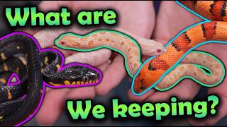 Meet our 2025 Holdbacks!