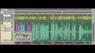 Gyvenama Sala. Antra Dalis. Susiremimas 2009, Lt Dts Audio