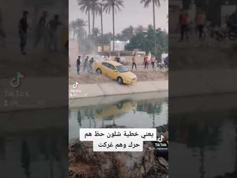 فيديو: تناوب المحاصيل من محاصيل الخضروات هو الأساس لزيادة محصولها