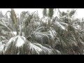 Лазаревское| Заметает снегом(05.02.2012)
