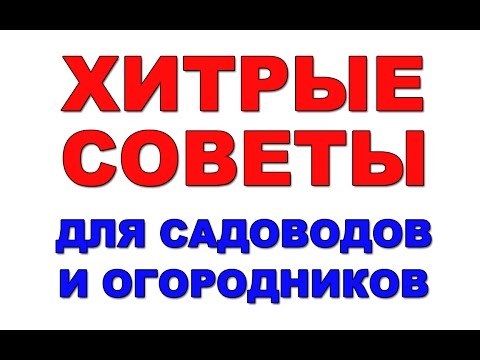 Полезные советы садоводам и огородникам — как продлить длительность цветения растений в саду картинки Полезные советы садоводам и огородникам — как продлить длительность цветения растений в саду картинки