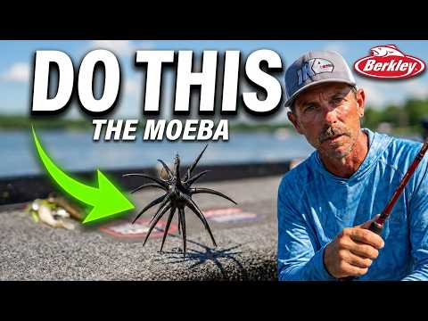 How-To Fish and Rig the MaxScent Moeba with Ike