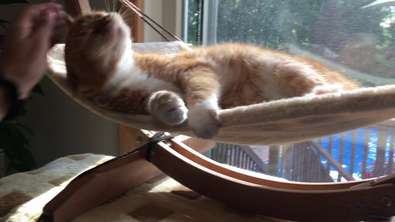 Vea Pets Cat Hammock