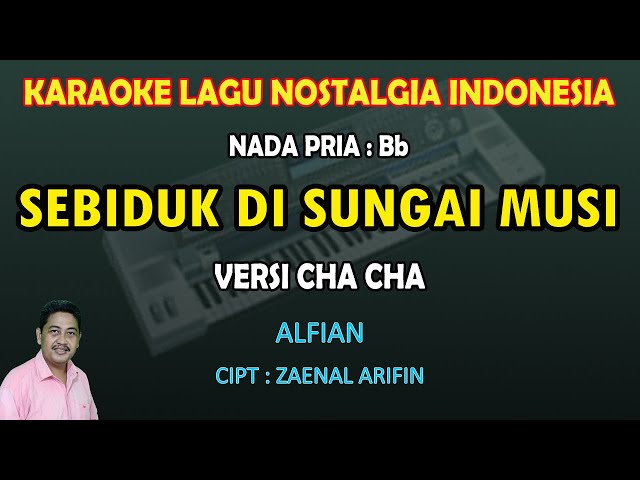 Sebiduk di Sungai Musi Karaoke Alfian versi Cha Cha nada Pria Bb class=