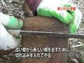 職人が教える　庭木の植え付けのコツ