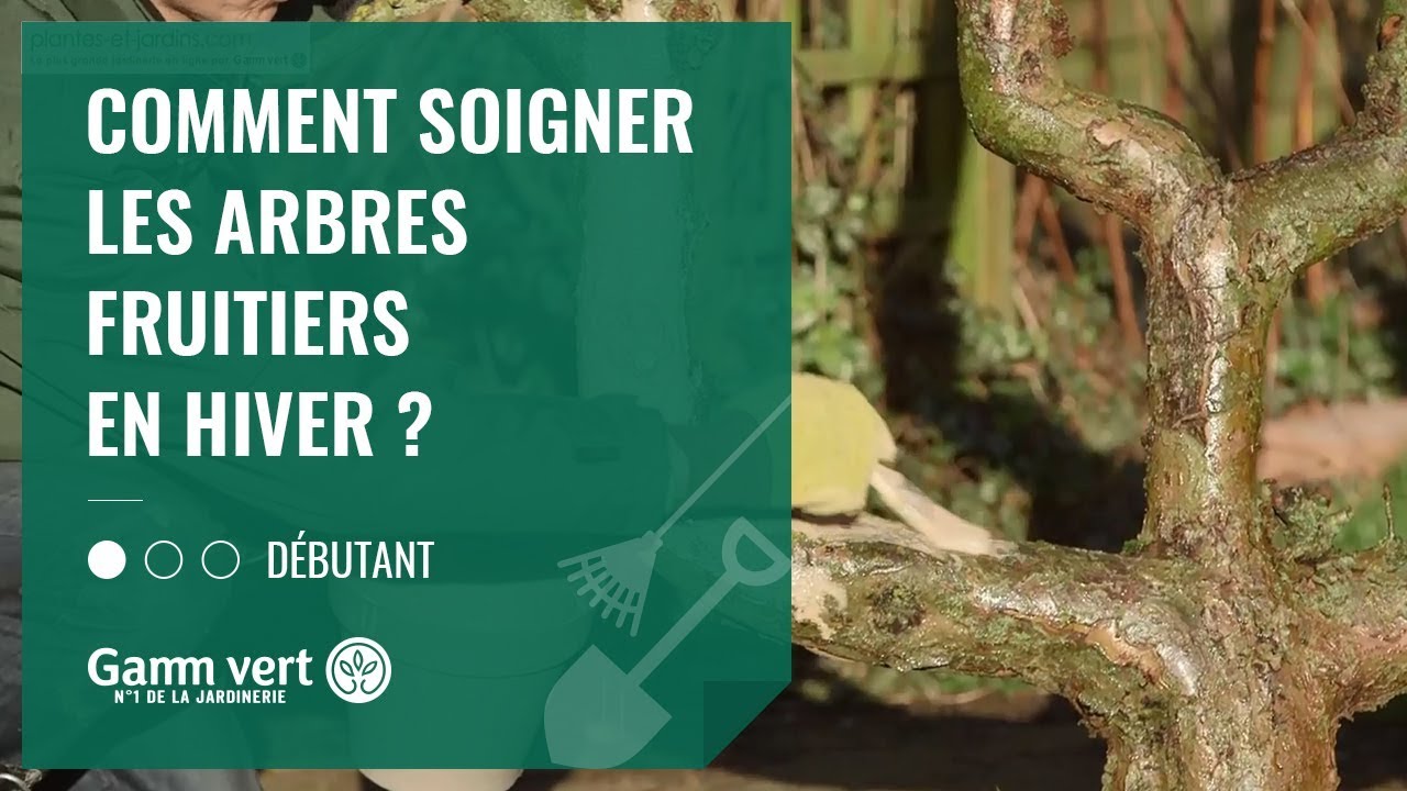 [TUTO] Comment soigner les arbres fruitiers en hiver ? Jardinerie — free download