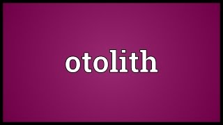 Otolith Meaning