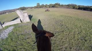 Yalambis Crescendo Brigadoon Ccn 1 Gopro