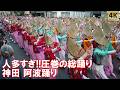 神田阿波おどり 人多すぎ!圧巻の総踊り!外国人観光客も釘付け 神田祭 木遣り Tokyo,Kanda Awa Odori 2026