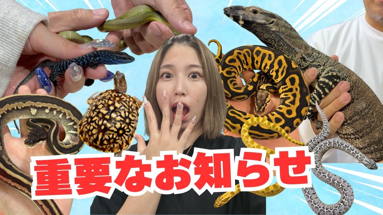 【重要なお知らせ】＆新入荷生体紹介