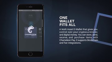 Chameleon Pay - One wallet fits all