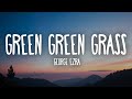 George Ezra - Green Green Grass sped up Lyrics 