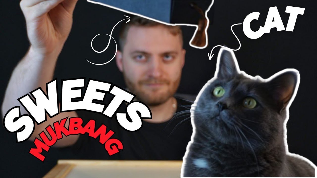 Кот против трюфельного пралине ASMR мукбанг или Trüffelpralinenstange