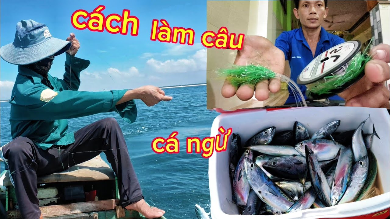 Hướng dẫn cách làm thẻo câu cá ngừ- đơn giản dễ làm-và hiệu quả 