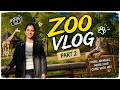 Famous Berlin Zoo Vlog in Telugu Part 2 #telugu #vlog #zoo #germany #berlin