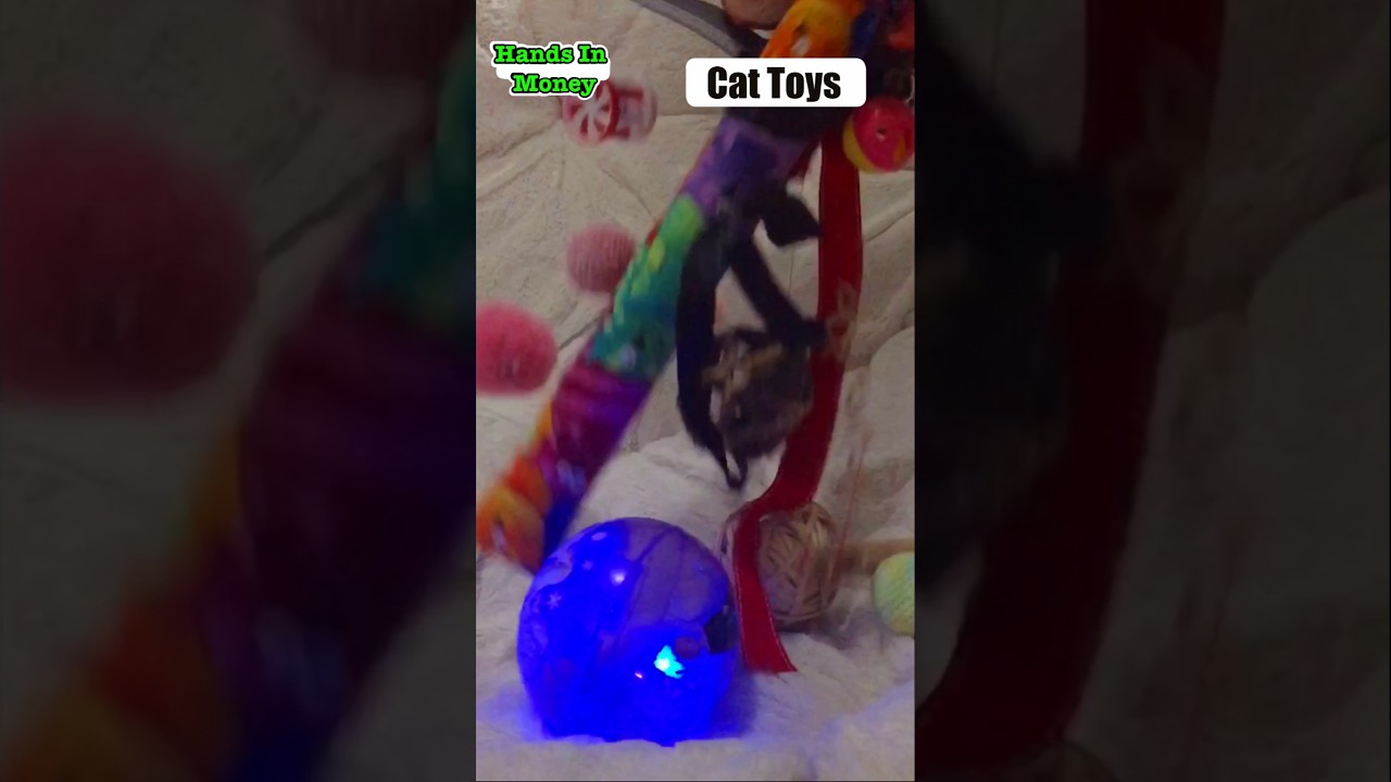 CAT TOYS ANTI HAUL - UNDERCONSUMPTION CORE SUSTAINABILITY