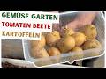 Selbstversorger Garten: BEETE VORBEREITEN und KARTOFFELN EINPFLANZEN