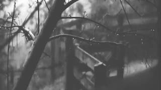 Entre cortinas de humo.// La Two-vE  del VALLE //