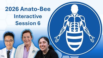 2026 Anato-Bee Interactive Session 6
