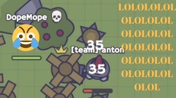 When You Go AFK On A MooMoo.io Dev Server