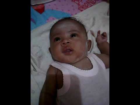 Suara pesing si embul