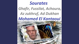 Sourate Fussilat (Warch)
