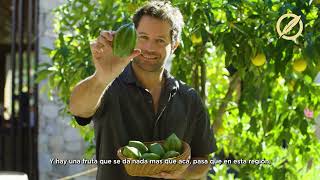 Viaje al Origen del Pisco — Capítulo 4: Maridaje