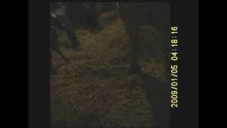 Primi Attimi Di Vita Di Joy