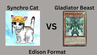 Synchro Cat Vs Gladiator Beast Edison Format