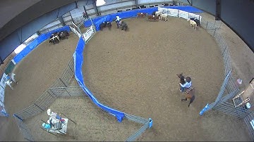 Big Sky Ranch Sorting Saddle Series #4 - YOUTH RANCH HAND - Round #1 - Ride #28