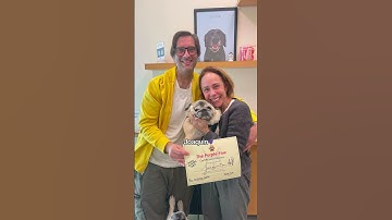 Thumbnail of Brave pets at the vet! #dogsofyoutube #catsofyoutube #vetmed
