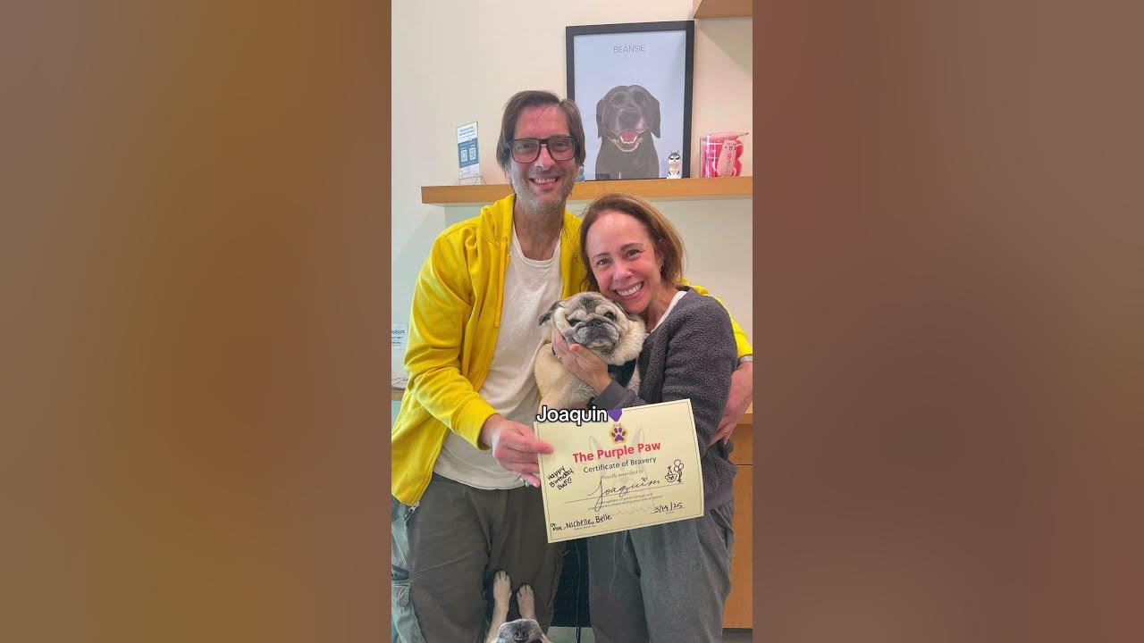 Brave pets at the vet! #dogsofyoutube #catsofyoutube #vetmed