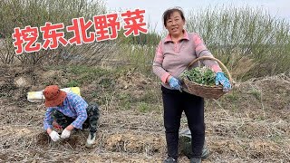 东北遍地都是宝？老妈挖菜半小时满载而归 回家却急着给它吃？