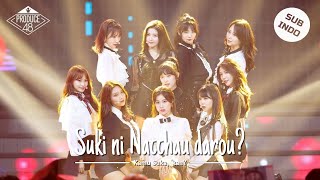 Produce 48 - Suki ni Nacchaudarou?  | You're in Love, aren't you? [Lirik Indonesia]