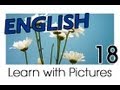 Learn English - English Plants Vocabulary