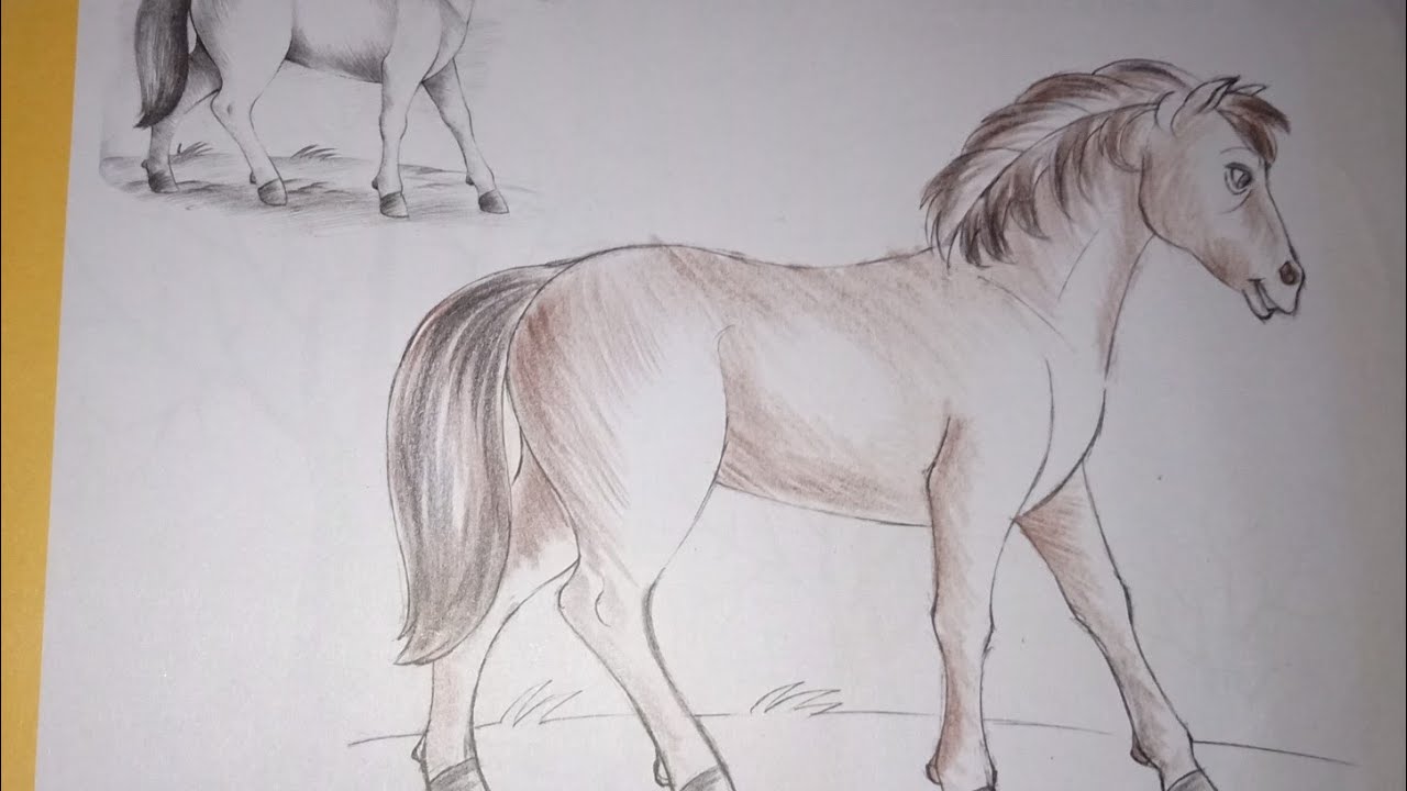 How to shade the horse?. Class 7th.. - YouTube