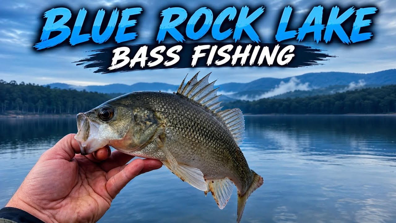 Fishing my Favourite COVE at Blue Rock with GAZZA