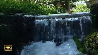 Kicau burung air mengalir - kicau burung sungai mengalir - air terjun dan suara burung #watersounds by Putu Tangsi 506 views 3 weeks ago 2 hours, 15 minutes